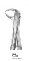  Fig. 86B lower molars 